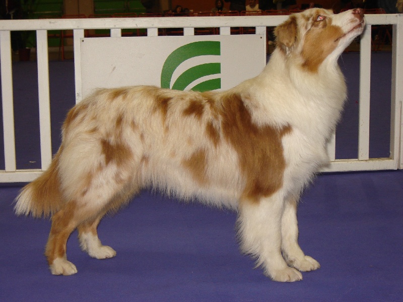 Be an angel sun du Mas de Cézanne